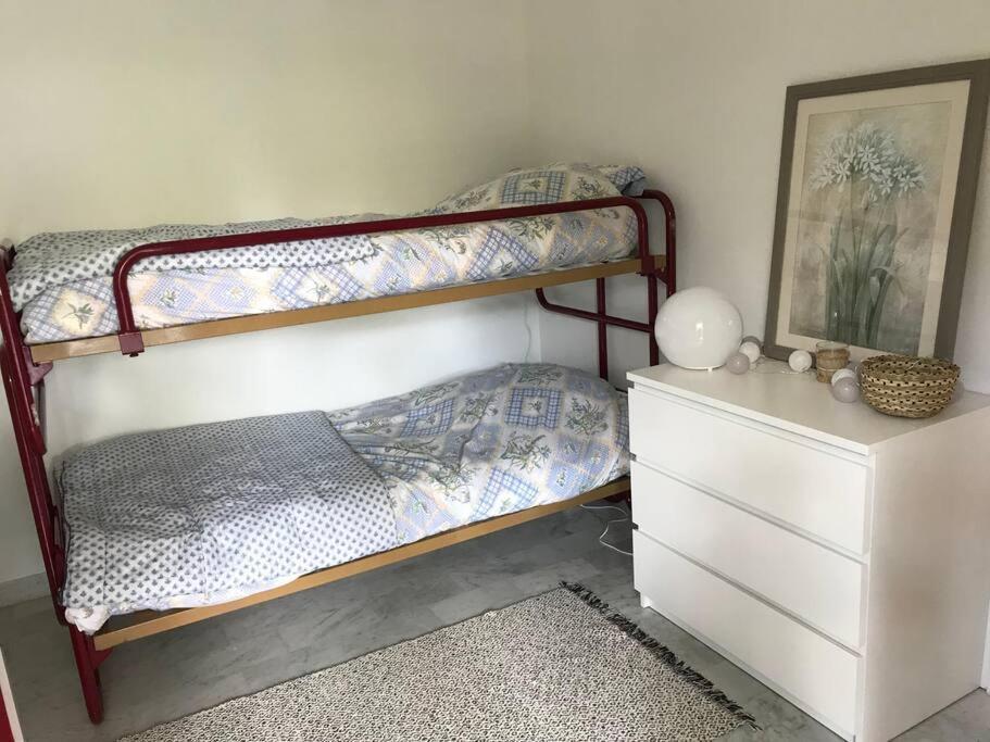 Appartement Calme Et Familial Au Centre D'Hossegor ソール・オスゴール エクステリア 写真